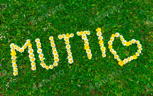 Preview: Romantic Mother Day Or Birthday Card, German Text Mutti (Means Mom), Word And Heart With Daisy