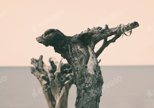 Preview: Wooden Decor On Sea Background