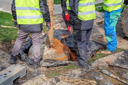 Preview: Workers Planting A Root Ball Of Tree In Soil At The New Residential Complex.
