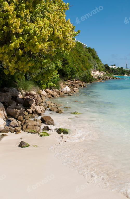 Preview: Paradisiac Beach With A Gorgeous Coast With Nature And Stones, Long Bay In Antigua
