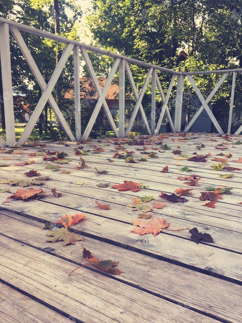 Preview: Fallen Maple Leaves On The Autumn Veranda Of An Old House