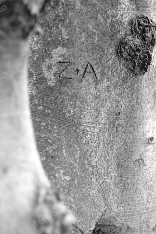 Preview: Signs, The Inscription On The Tree.