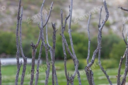 Preview: Old Wooden Fence In The Countryside. Background