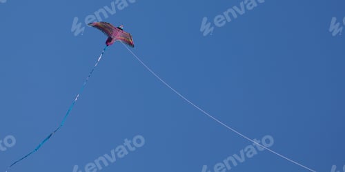 Preview: Kite In The Blue Sky, Autumn Tradition.