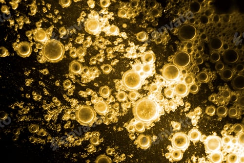 Preview: Biodiesel, Bubbles Biofuel, Vegetable Oil, Yellow And Orange Emulsion Bubbles Background