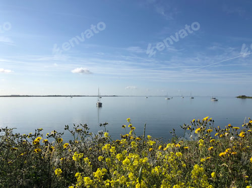 Preview: Sailboats At The Ijsselmeer Around Kornwerderzand In Friesland, The Netherlands