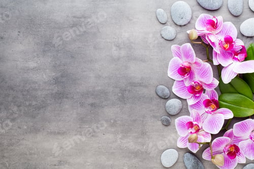 Preview: Orchid And Spa Stones On A Stone Background. Spa And Wellness Scene.
