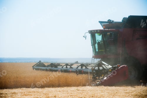 Preview: Agriculture. Combine Harvester On A Wheat Field With Blue Sky