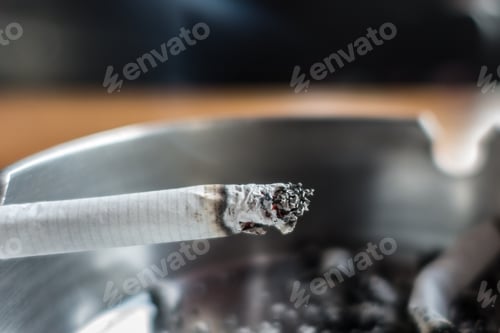 Preview: Ashtray With A Cigarette Butts