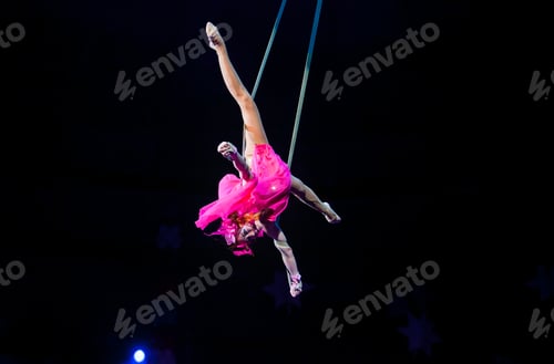 Preview: Air Gymnast In A Circus