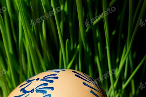 Vista previa: Painted Easter Eggs