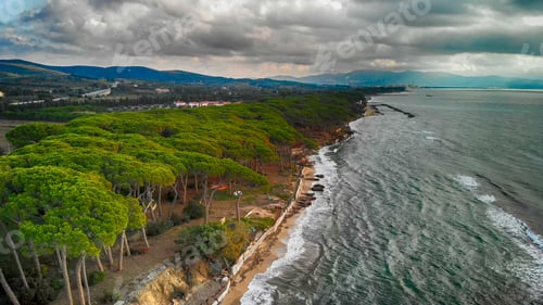 Preview: Beautiful Pinewood Along The Sea, Overhead Aerial View.