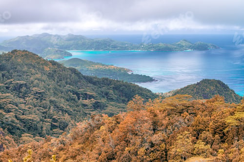 Preview: Aerial View Of Beautiful Island Mountains. Vegetation And Ocean. Autumn Colors.