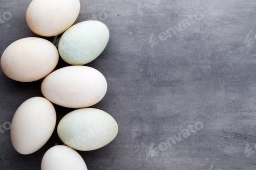 Preview: Duck Eggs On A Cage Gray Background.
