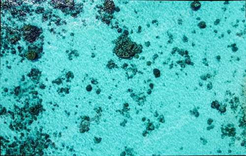 Preview: Aerial View Of Coral Reef From Drone.