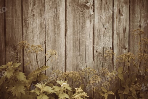 Preview: Wooden Board Texture. Natural Wood Background. Vintage Toned Photo.