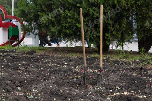 Preview: Two Shovels Are Stuck In The Dug Soil. Greening Works Of Urban Space. Background