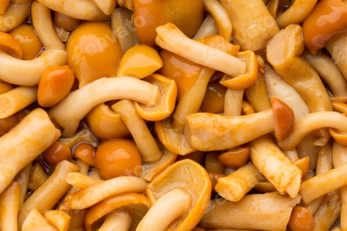 Preview: Shimeji Mushrooms Brown Fumgi Varieties Background.
