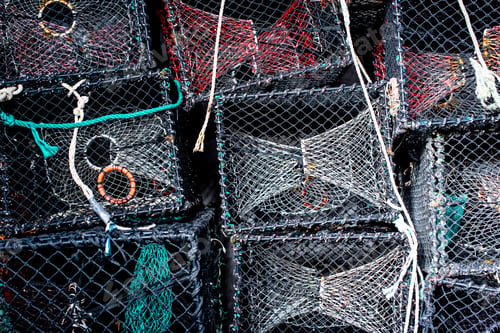 Preview: Modern Lobster Traps In Storage.