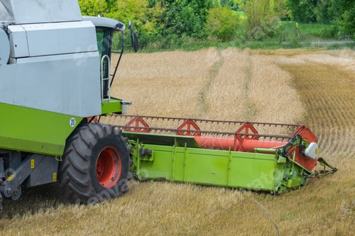 Preview: Harvester At Work On The Field Harvesting Ripe Wheat