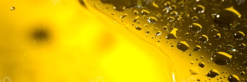 Preview: Biodiesel Drops, Bubbles Biofuel, Vegetable Oil, Yellow And Orange Emulsion Bubbles For Background.