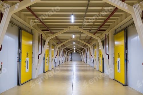 Preview: Modern Automated Production For Sorting, Processing And Storage Of Fruits And Vegetables. New