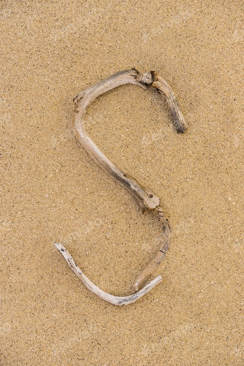 Preview: Sand Beach Letters Alphabet, Letter S Written With Driftwood.