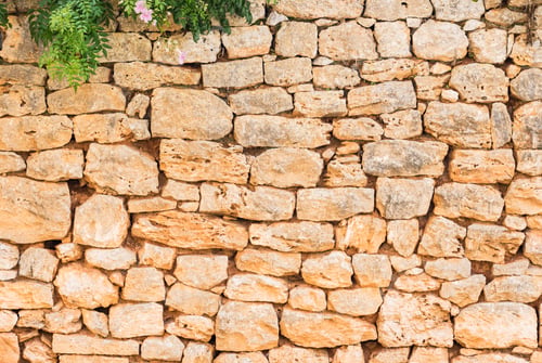 Preview: Old Rustic Garden Stone Wall With Green Vine Plant.