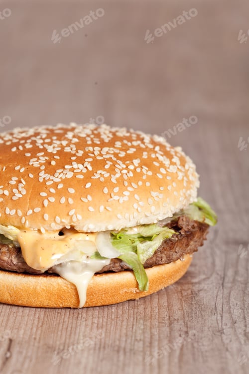 Preview: Tasty Delicious American Hamburger And Cheese Sandwich
