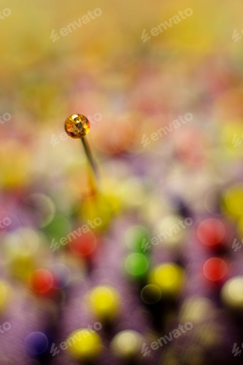 Preview: Color Sewing Pins And Detail Of Reflection For Colored Abstract Background.