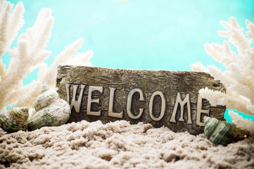 Preview: Underwater Coral, Shells And Sand. Sea Scene.