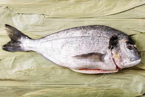 Preview: Raw Uncooked Fresh Gutted Sea Bream Or Dorado On Bamboo Leaves. Flat Lay, Copy Space. Cooking