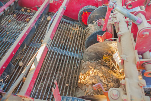 Preview: Harvesting Of Potato The Working Element