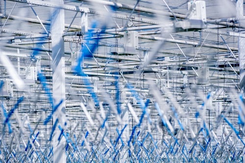 Preview: The Roof Of A Greenhouse. Hooks And Ropes. Background