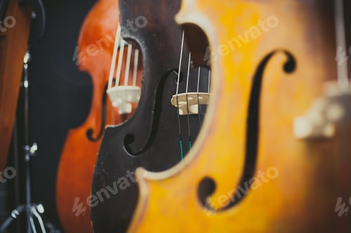 Preview: Black Double Bass Bridge And String And Out Of Focus Different Color Instruments Aligned