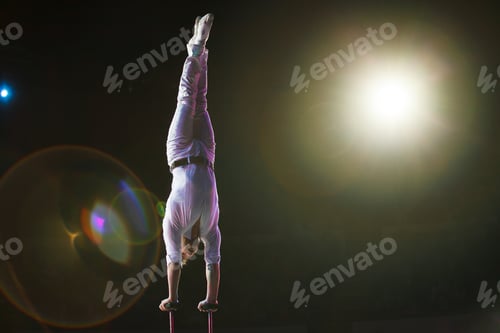 Preview: Performance Of Air Acrobats In The Circus