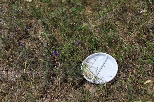 Preview: Garbage Thrown After A Picnic In Nature. Plastic Disposable Plate.