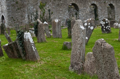 Preview: Saint Anne Graveyard In Mallow Town, Ireland