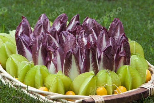 Preview: Background Composition Of Fresh Vegetables