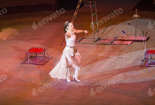 Preview: Dog Trainer In A Circus