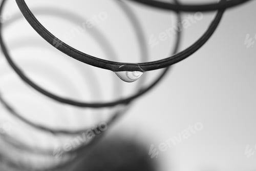Preview: A Drop Of Dew In Early Light Fall.