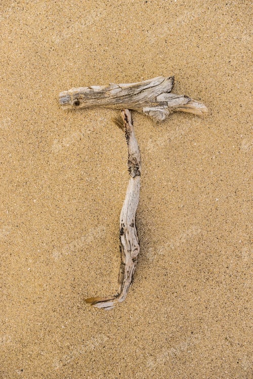 Preview: Sand Beach Letters Alphabet, Letter T Written With Driftwood.