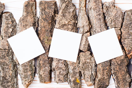 Preview: White Square Sheets For Writing Lie On Pieces Of Bark Of A Tree