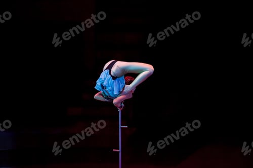 Preview: Performances Of A Gymnast In A Circus