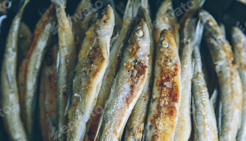 Preview: Fried Smelt Close-Up