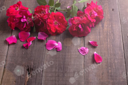 Preview: Fresh Red Roses In Ray Of Light On Aged Wooden Background. Selective Focus. Place For Text.
