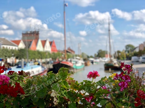 Preview: Flowers At The Harbor Of Weener In Germany