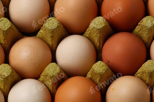 Preview: Farm Natural Home Environmentally Friendly Eggs In A Tray
