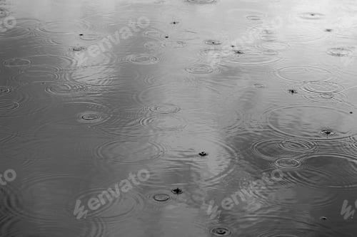 Preview: Autumn Weather, Rain On The Dark Background.