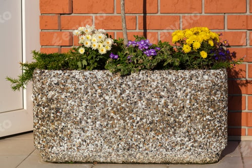 Preview: A Very Beautiful Flower Bed. Landscaping And Greening Of The Environment. Abstract Background For